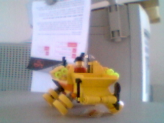hog05.jpg