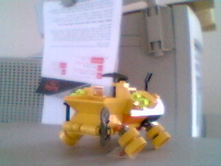 hog06.jpg