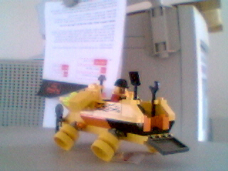 hog08.jpg