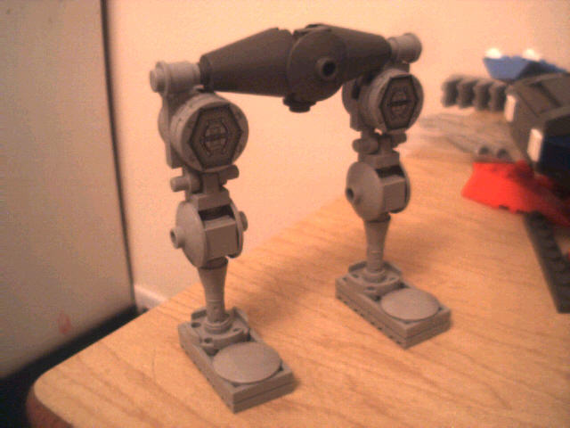 legs.jpg