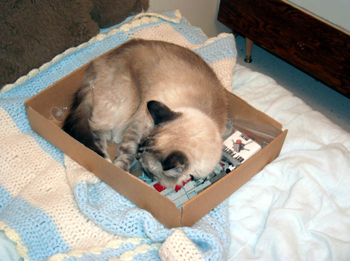 sleepytime.jpg