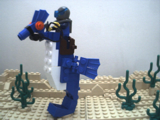 sh03.jpg