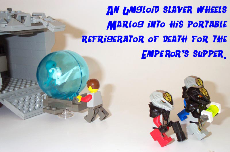 dcp_3559b.jpg