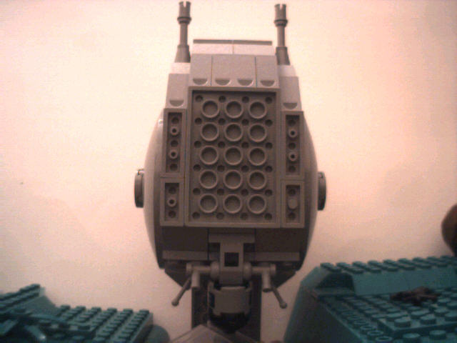 thesnail05.jpg