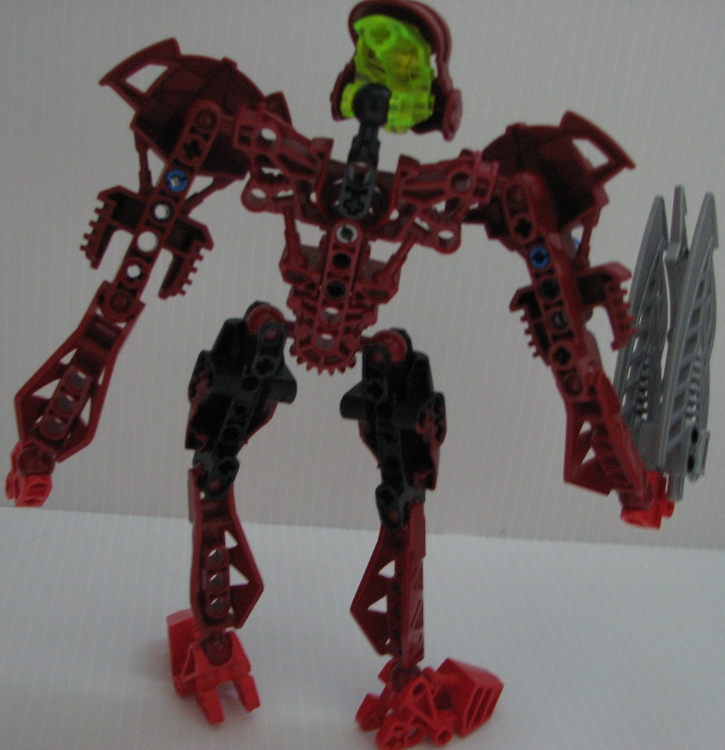 toa_reenax_back_view.png