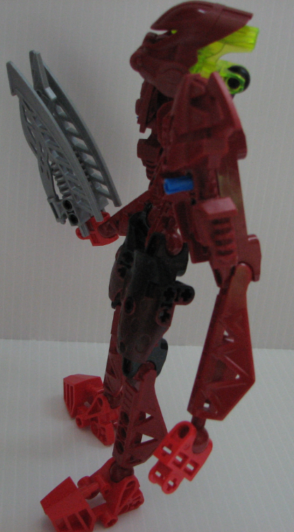 toa_reenax_side_view.png