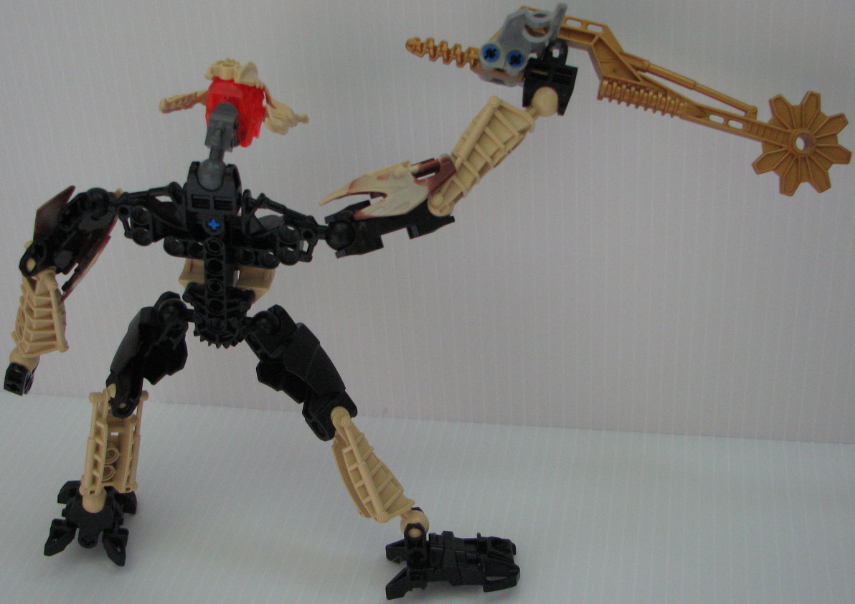 toa_sorun_back_view.png