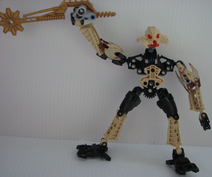 toa_sorun_front_view.png