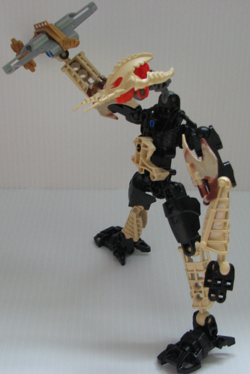toa_sorun_side_view.png
