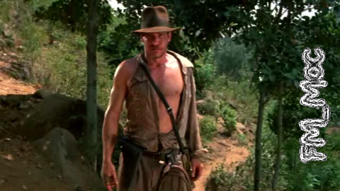 indy_example.jpg