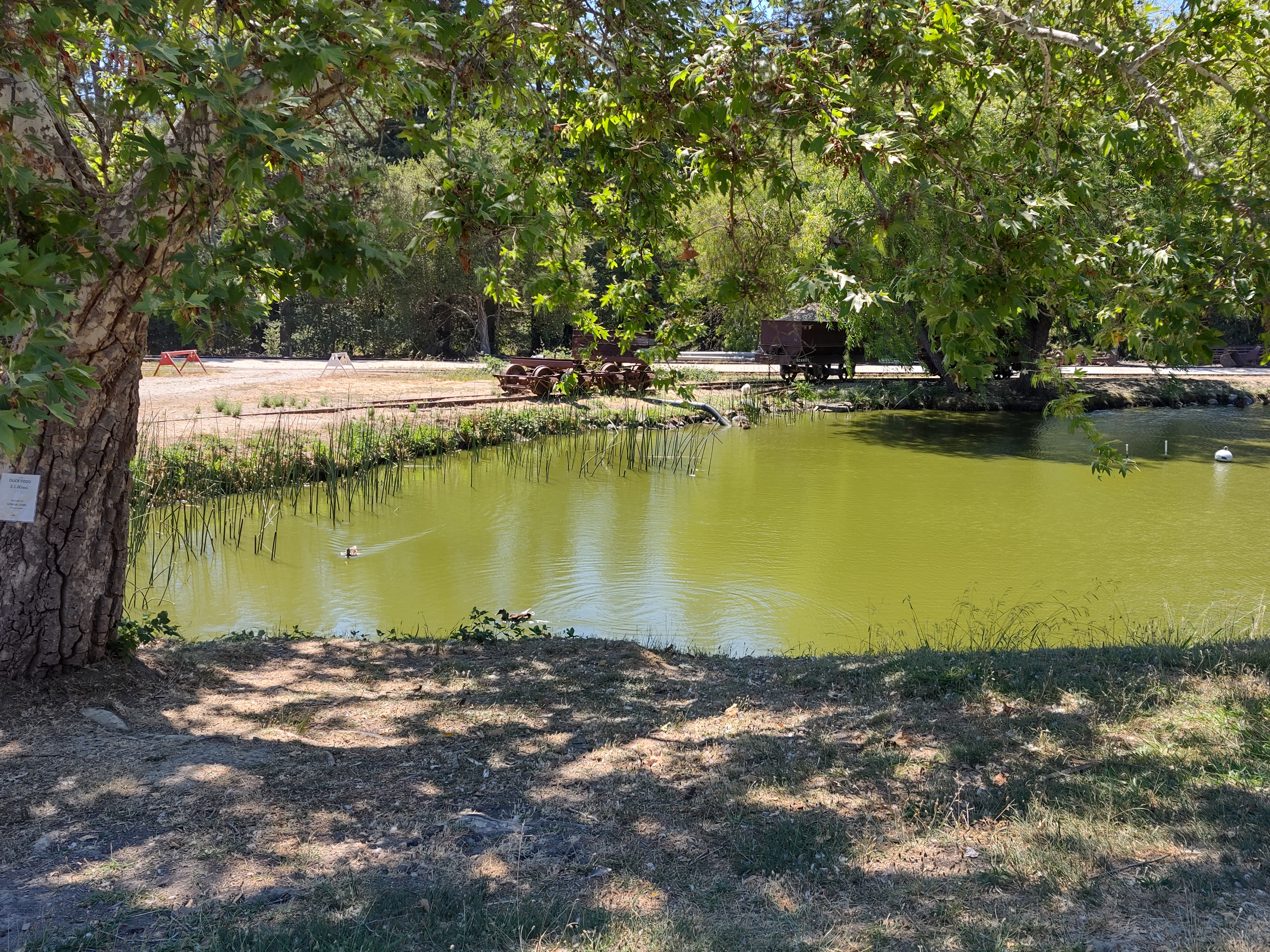 img_20220710_150325672_hdr.jpg