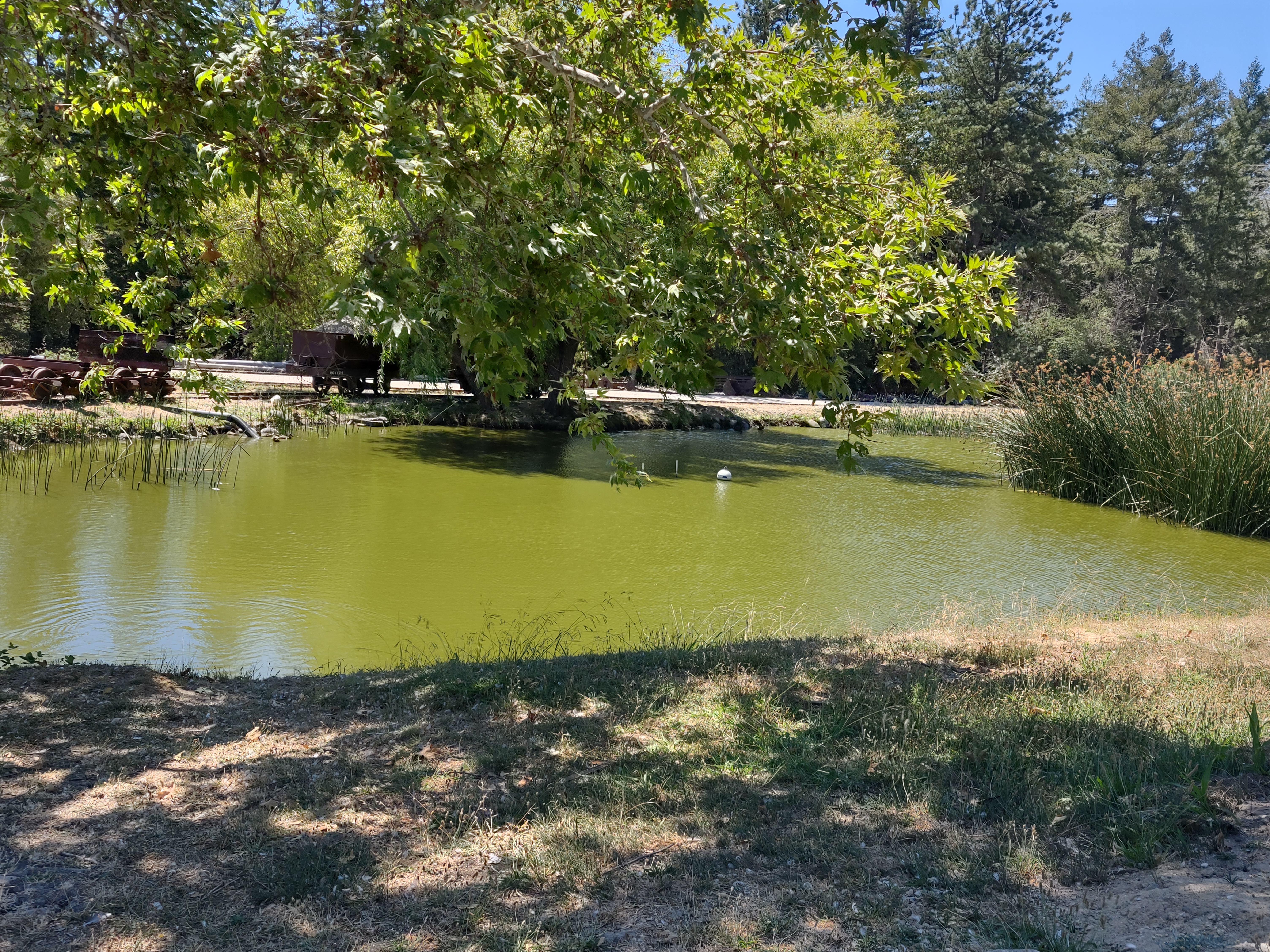 img_20220710_150327319_hdr.jpg