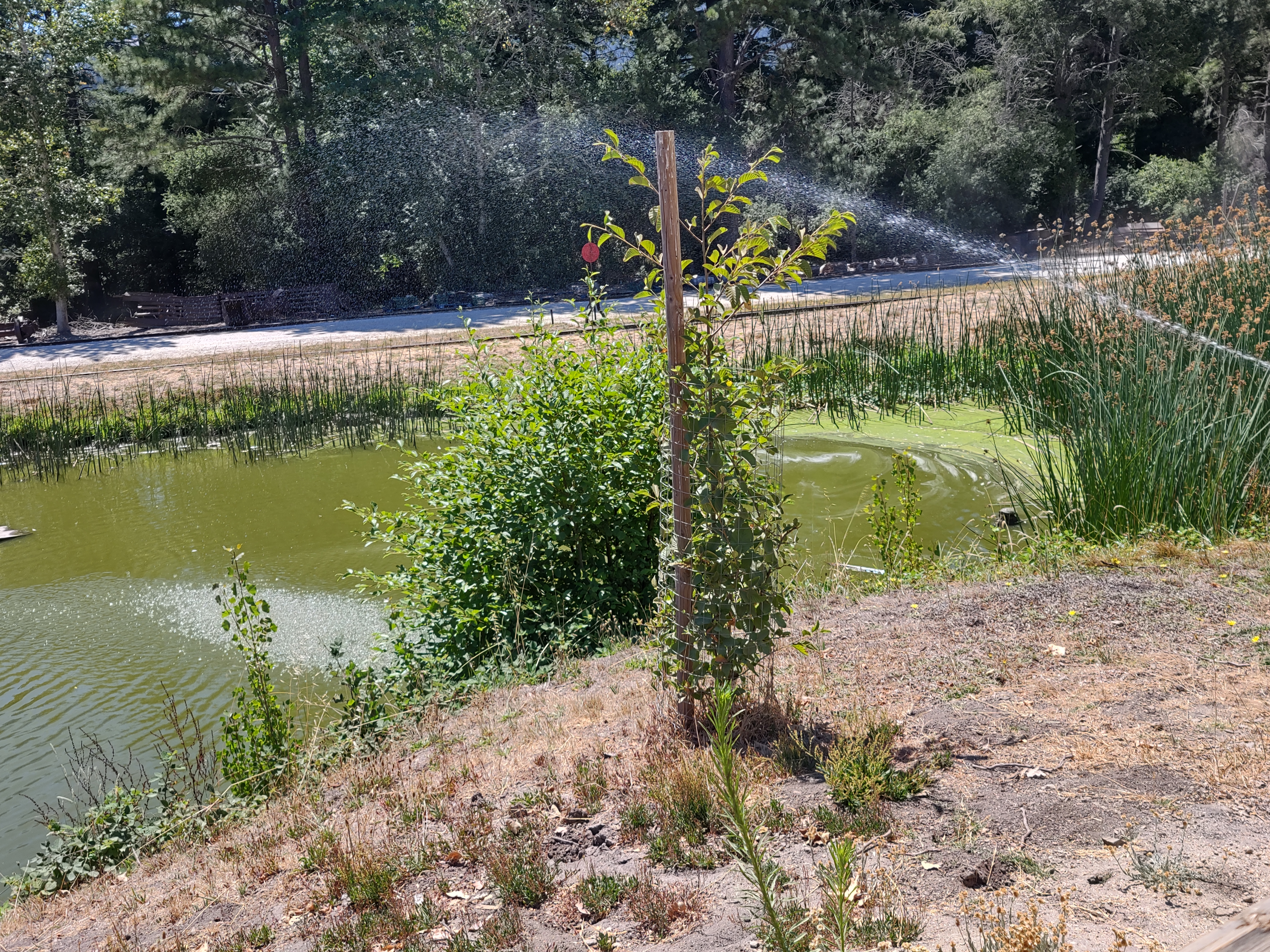 img_20220710_150508679_hdr.jpg
