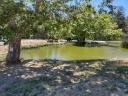 CoveredBridgePond