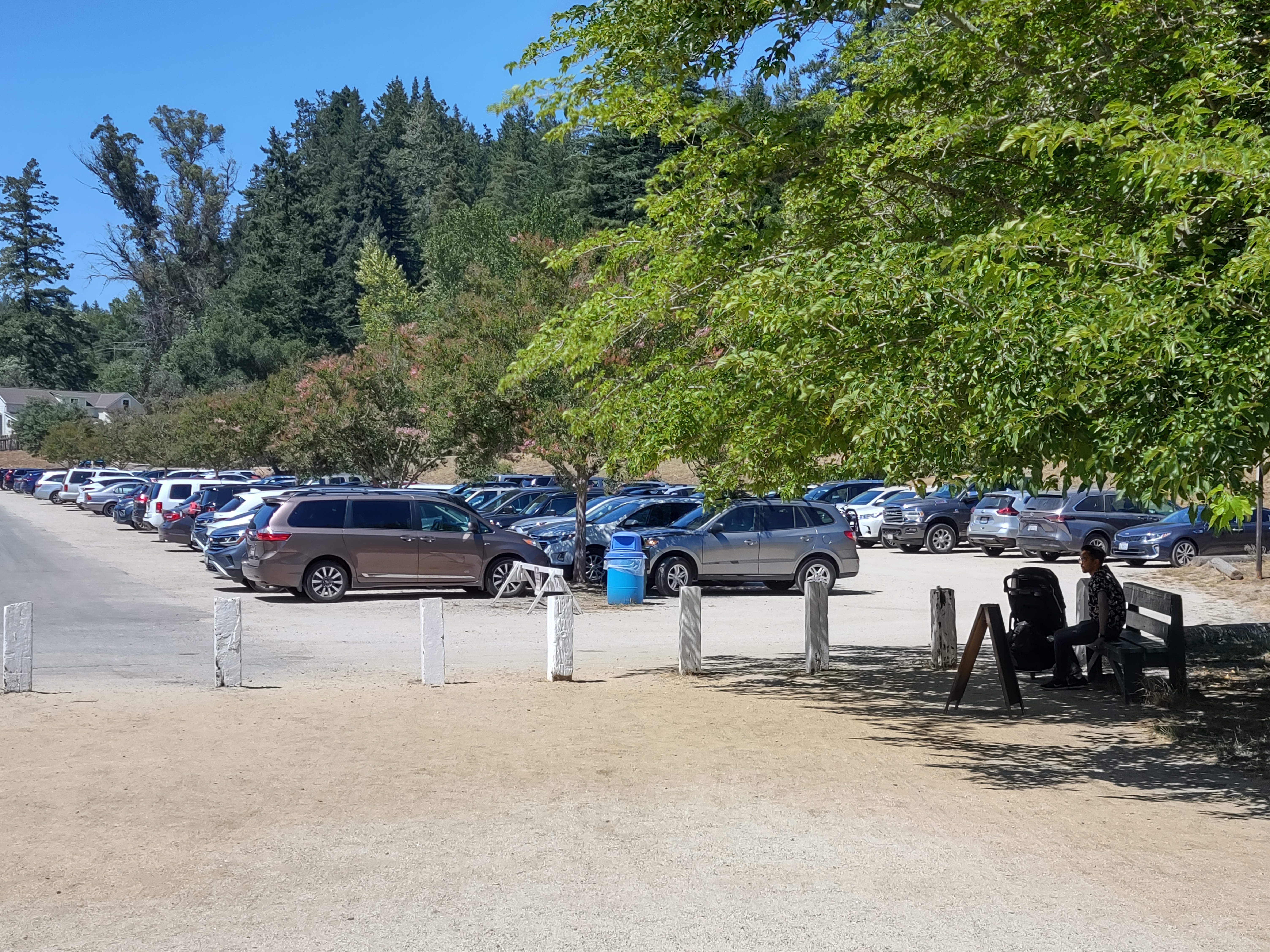 img_20220710_150723627_hdr.jpg