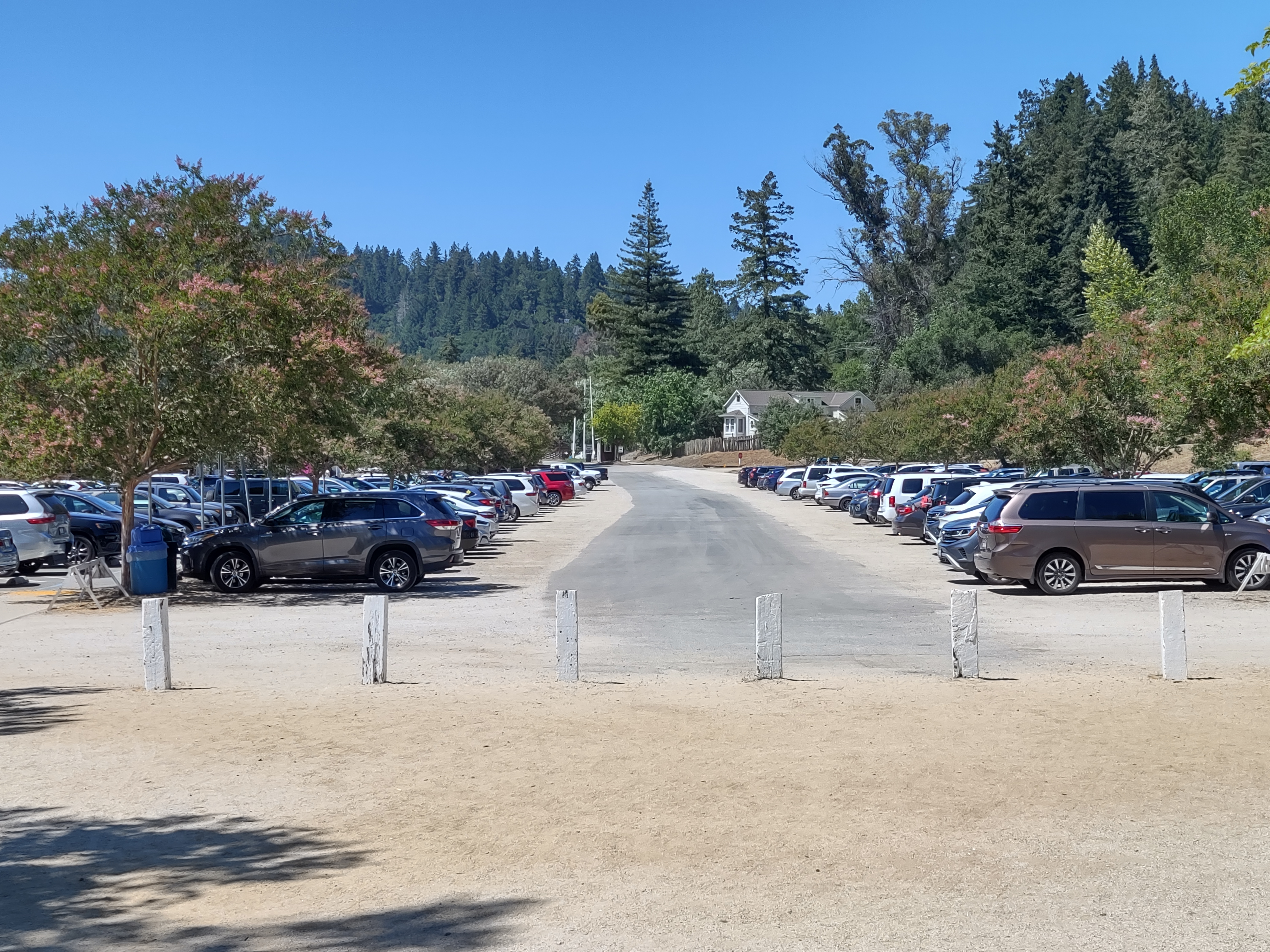 img_20220710_150725963_hdr.jpg