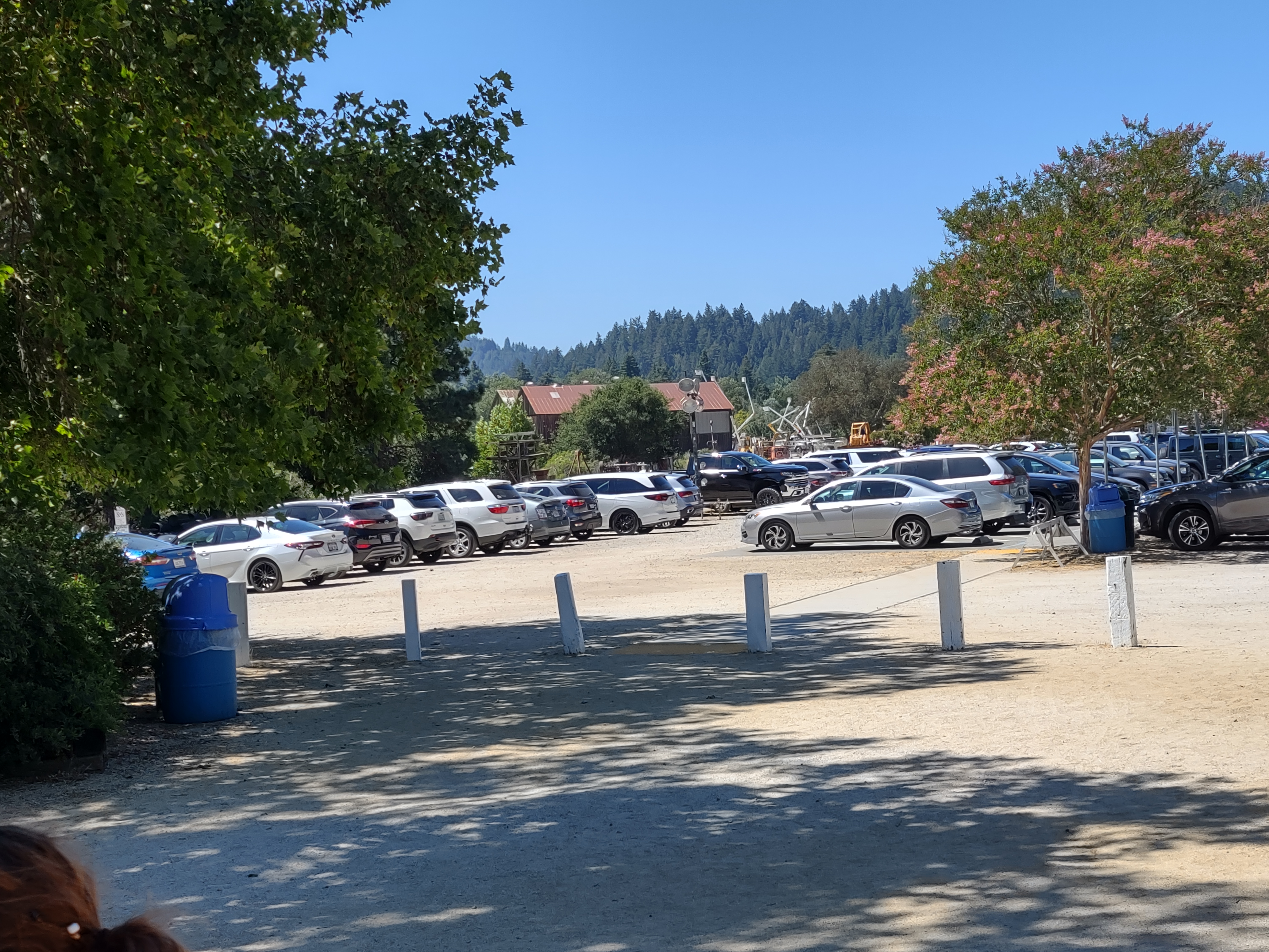 img_20220710_150730226_hdr.jpg