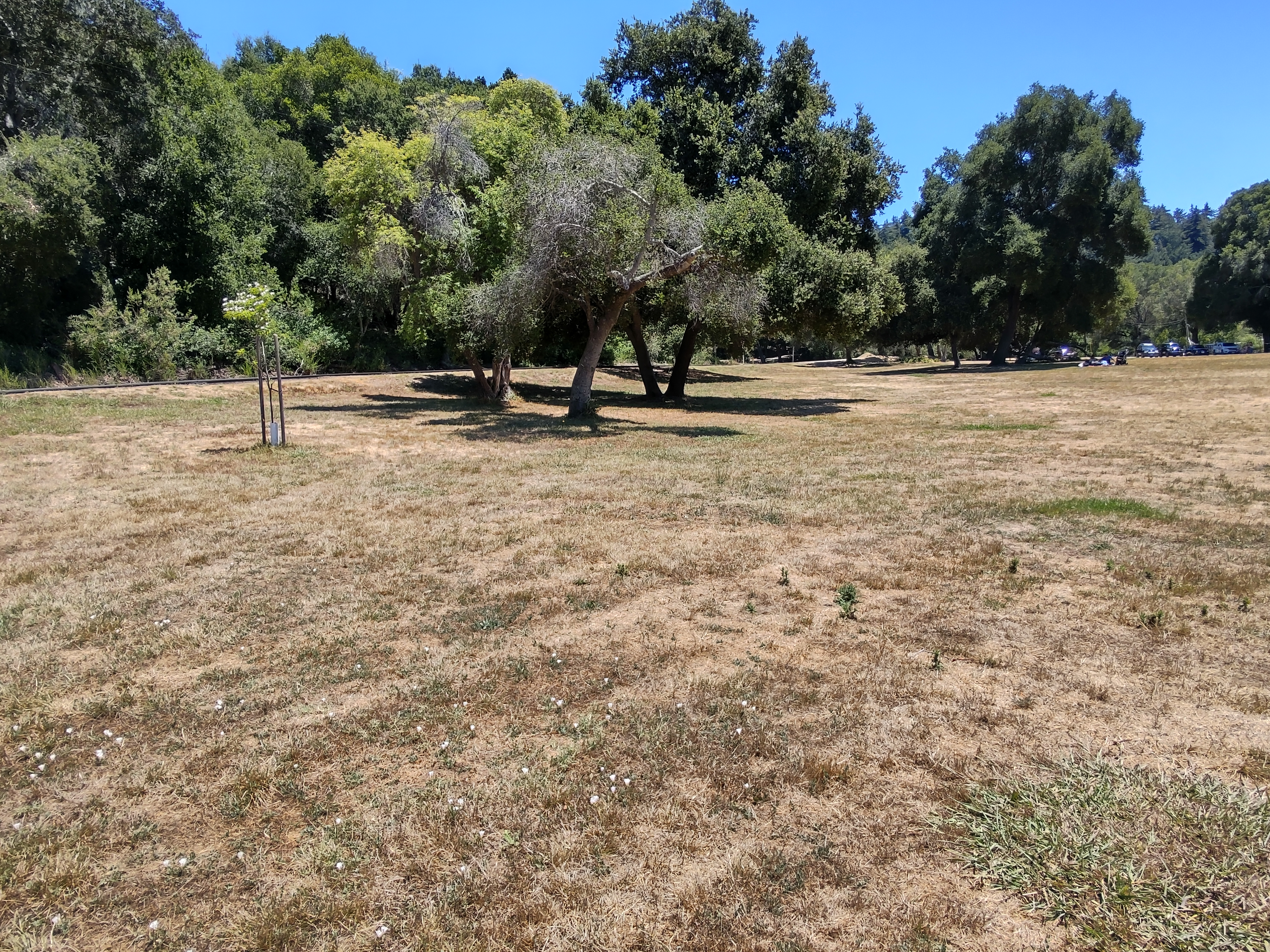 img_20220710_135510864_hdr.jpg