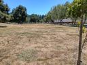 PlayingField