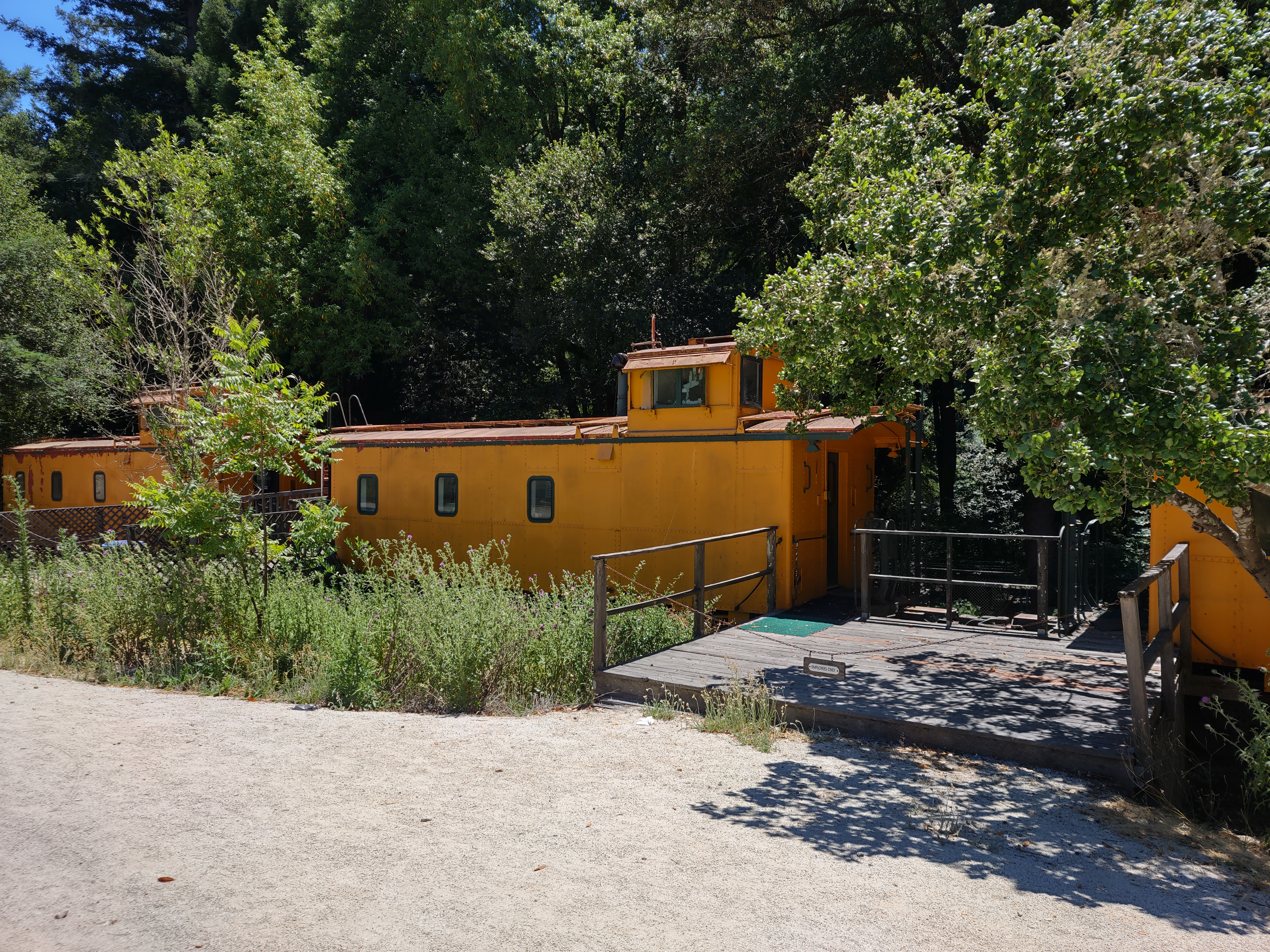 img_20220710_133057701_hdr.jpg