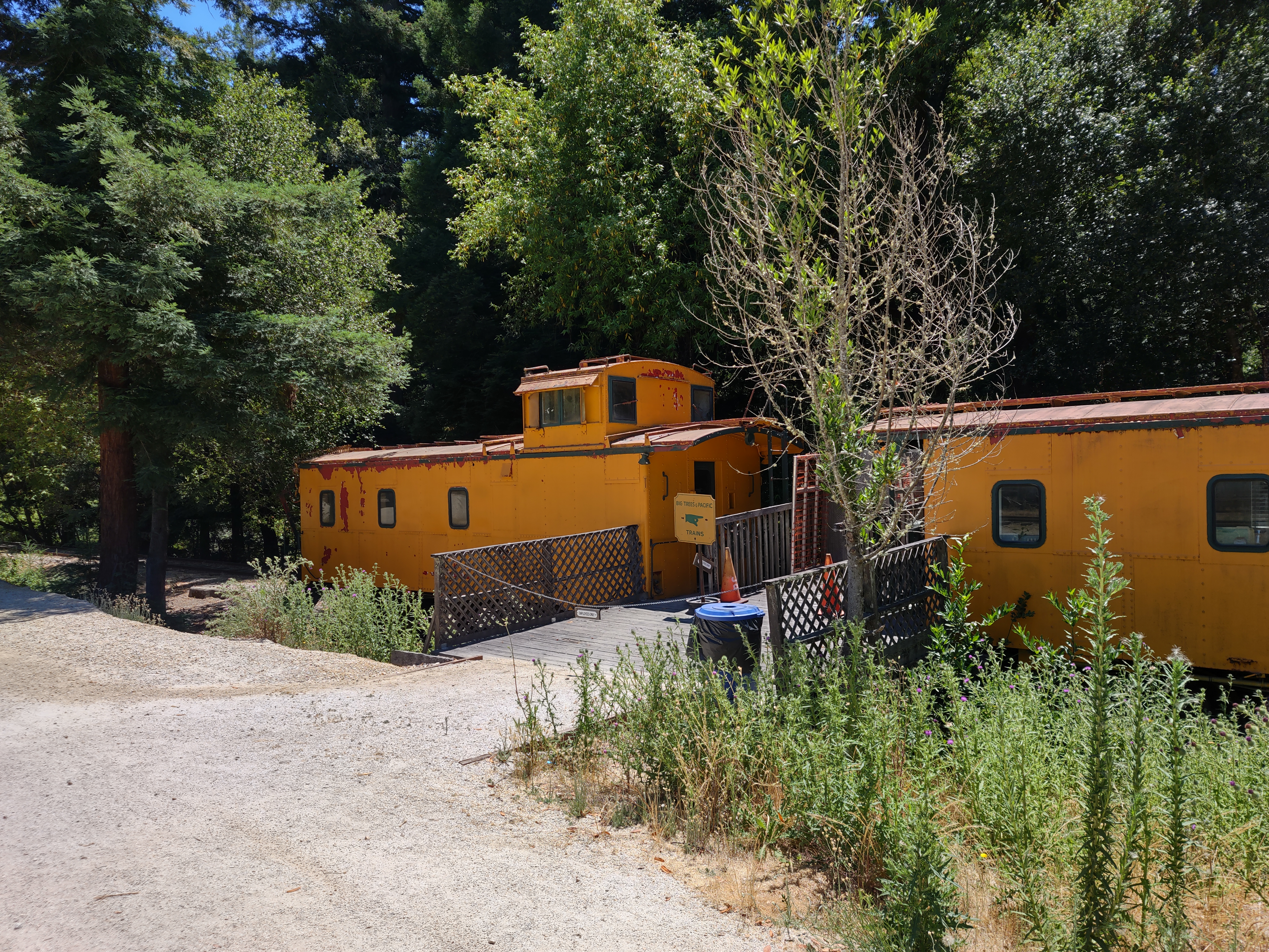 img_20220710_133109860_hdr.jpg