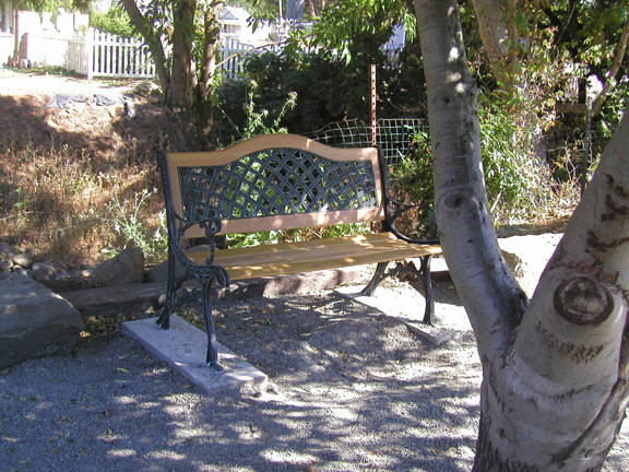 p5300048.jpg