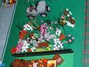 dscf0099.jpg