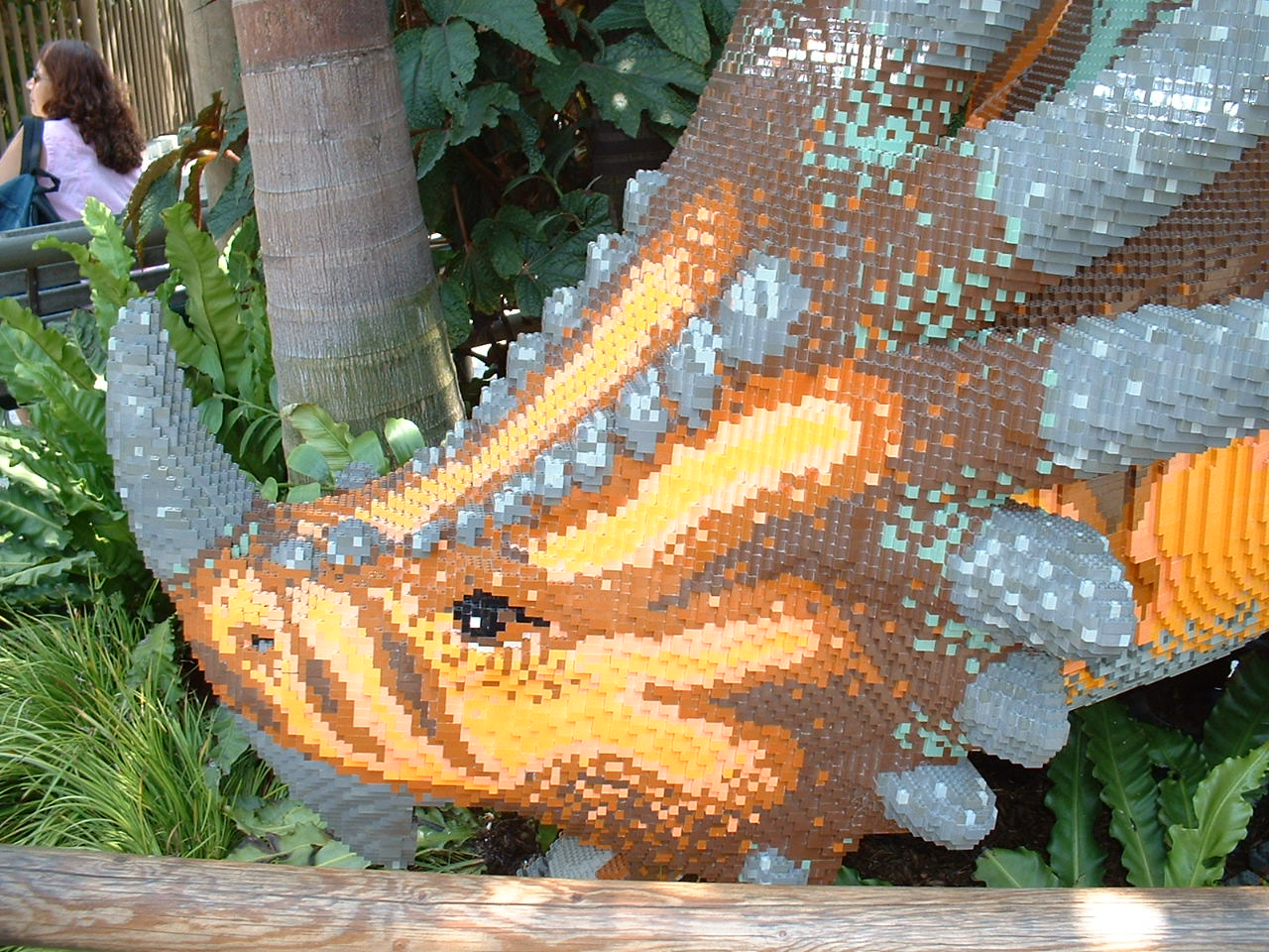 dscf0029.jpg