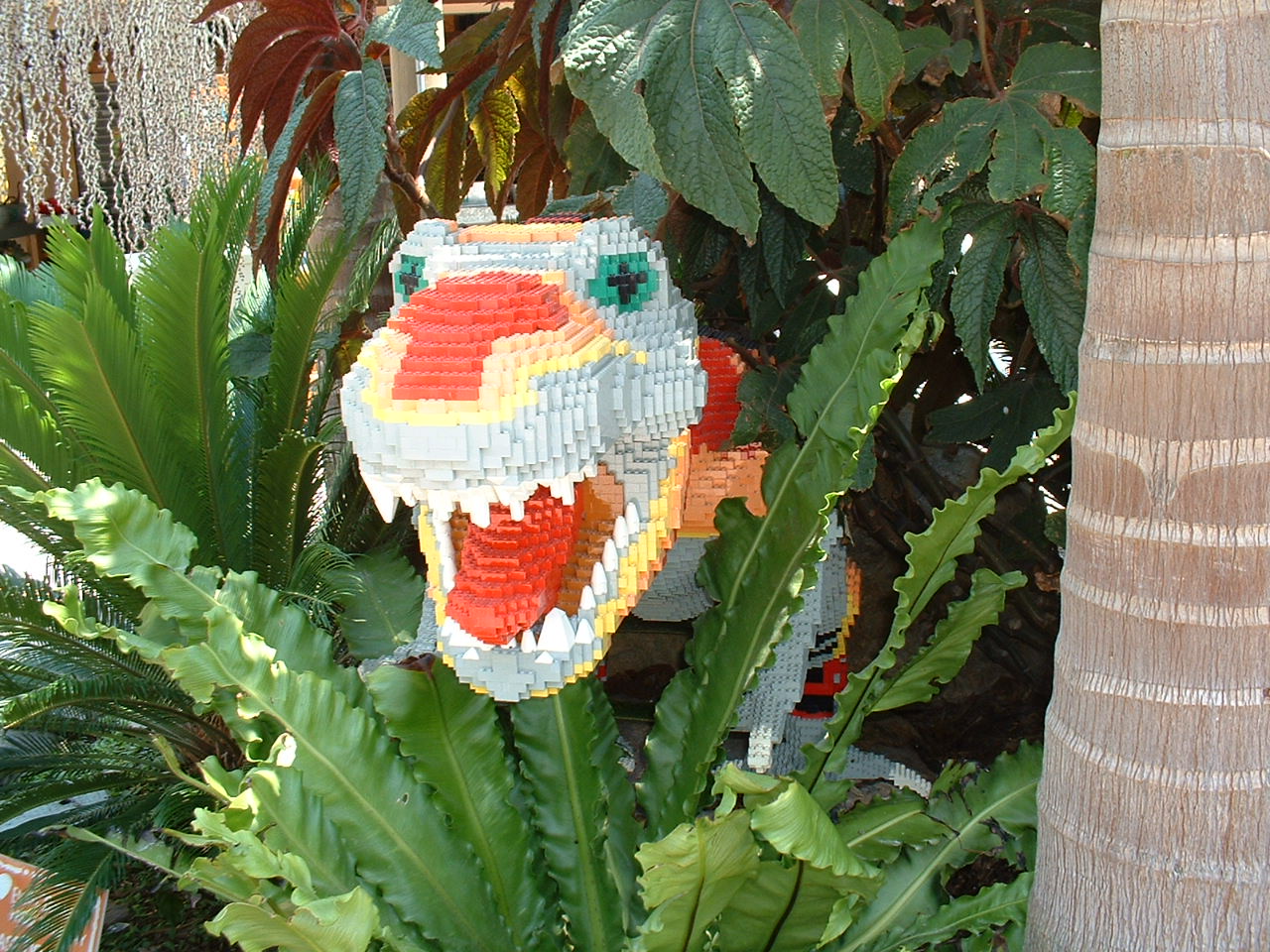 dscf0031.jpg