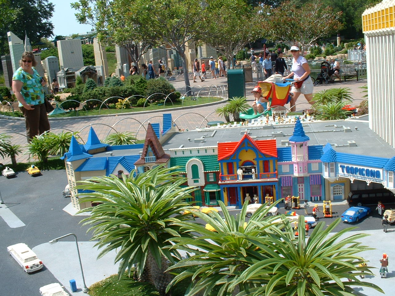 dscf0107.jpg