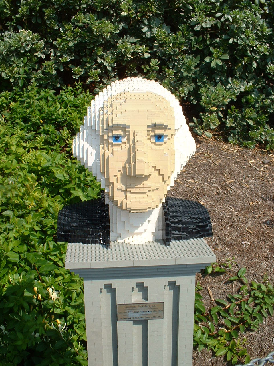 dscf0140.jpg