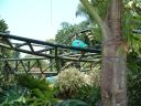 dscf0037.jpg
