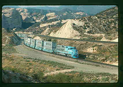 maersk_146.jpg