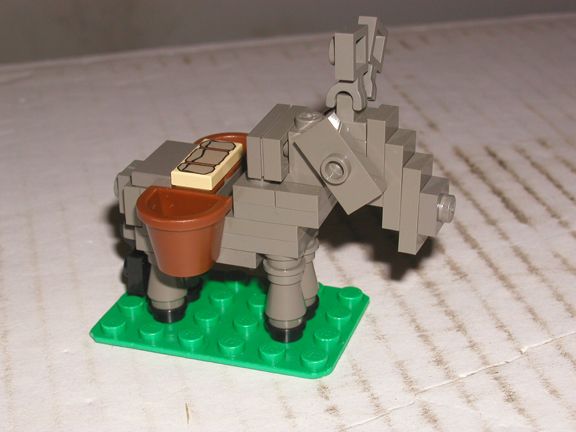 donkey.jpg