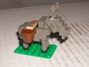 donkey.jpg