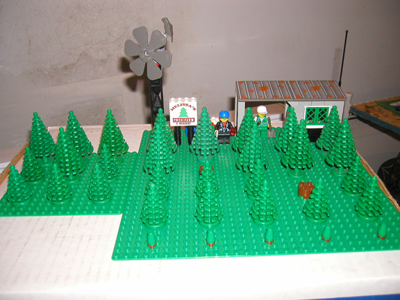 treefarm04.jpg