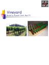 vineyard