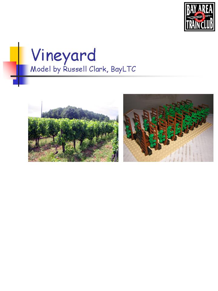 vineyard01.jpg