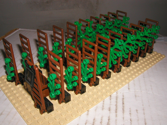 vineyard02.jpg