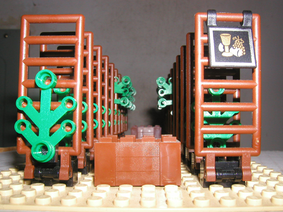 vineyard03.jpg
