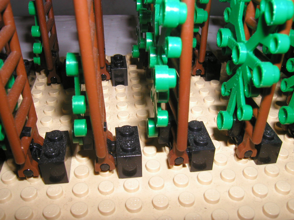 vineyard04.jpg