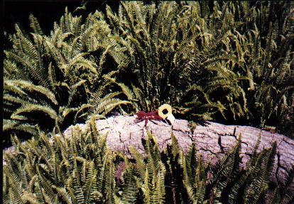 legoland0164.jpg