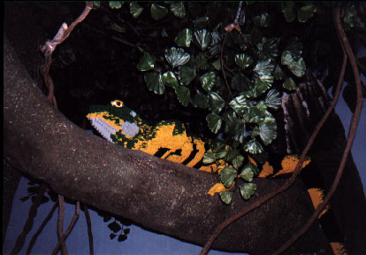 legoland0174.jpg