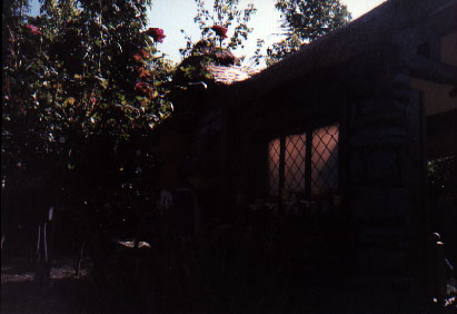 legoland0211.jpg