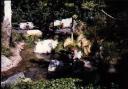 legoland0167.jpg