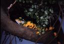 legoland0174.jpg