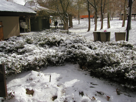 p1010027.jpg