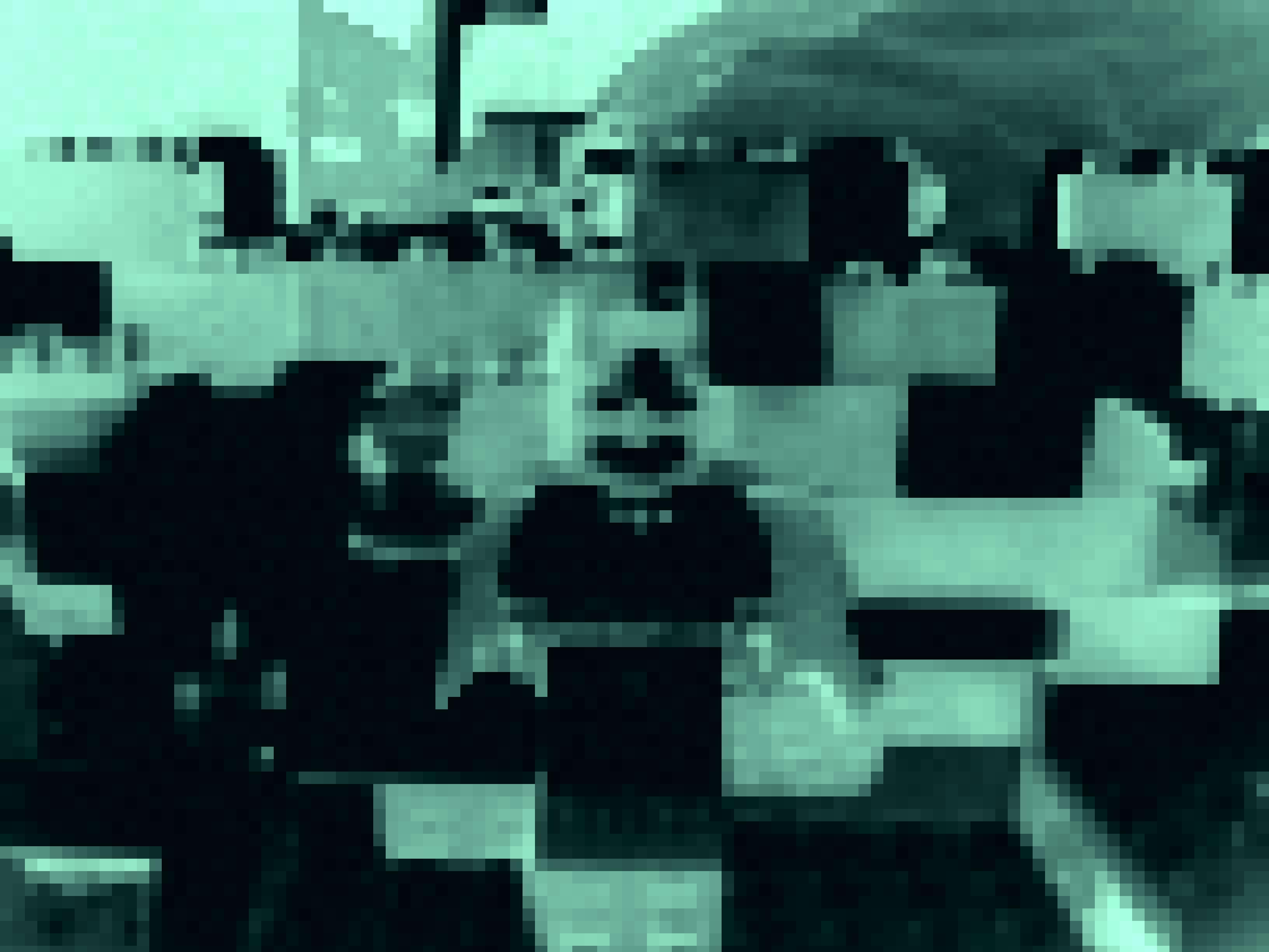 dsci0100.jpg