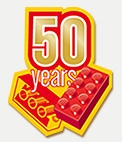 lego50.jpg