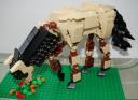 horse2.jpg